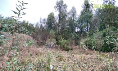 Parcela en Venta en Parcela Loteo Altos de Chamiza, camino Automó Km 11