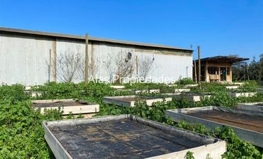 Sitio en Venta en Ruta 68 - Terreno Giro Comercial - Curacaví - Alas Propiedades