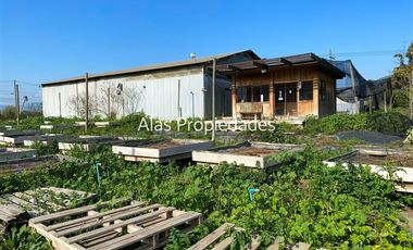 Sitio en Venta en Ruta 68 - Terreno Giro Comercial - Curacaví - Alas Propiedades