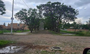 Terreno Campestre en Venta en Lomas del Picacho