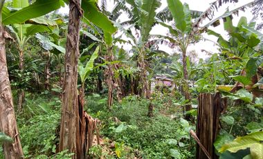 Dijual Murah Rumah Kayu + Kebun di Perkampungan Luas 432 m2 Purwakarta