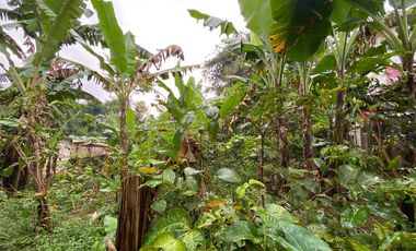 Dijual Murah Rumah Kayu + Kebun di Perkampungan Luas 432 m2 Purwakarta