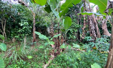 Dijual Murah Rumah Kayu + Kebun di Perkampungan Luas 432 m2 Purwakarta