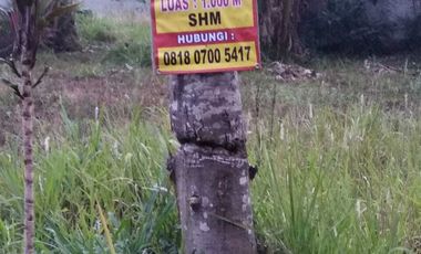 Di Jual Tanah 1000m2 di Desa Bojong Kerta Bogor