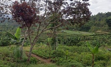 Dijual Tanah Kavling 247 m2 di Padalarang Bandung, View Gunung & Sawah