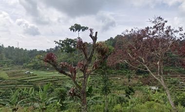 Dijual Tanah Kavling 247 m2 di Padalarang Bandung, View Gunung & Sawah