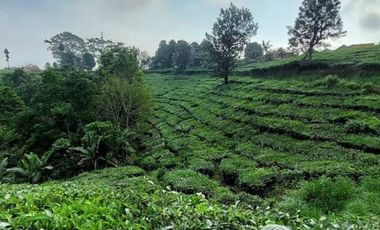 Dijual Tanah Kavling 247 m2 di Padalarang Bandung, View Gunung & Sawah