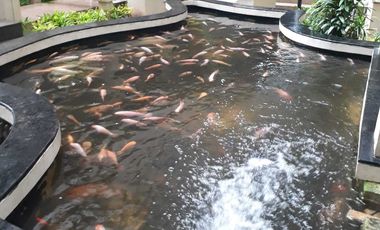 Apartemen Gading Nias, Tower Dahlia, 35m2, Full Furnish, Bagus