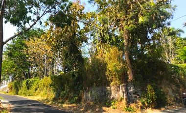 Tanah Hook Cocok dibangun Villa dekat Hill House Batu