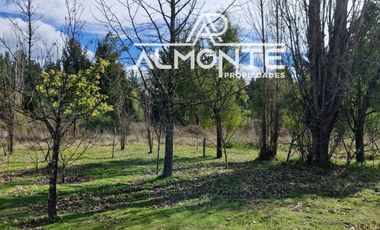 SE VENDE PARCELA 7500 MTS2 SECTOR CERRO NEGRO QUILLÓN