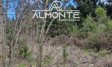 SE VENDE PARCELA 7500 MTS2 SECTOR CERRO NEGRO QUILLÓN