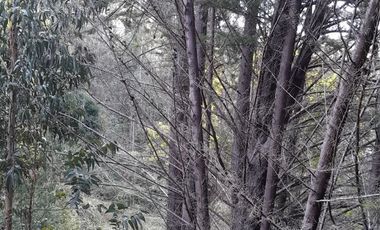 Parcela en Venta en Cabeceras, Paredones, Sexta Región Bernardo O´Higgins