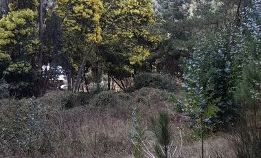 Parcela en Venta en Cabeceras, Paredones, Sexta Región Bernardo O´Higgins