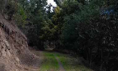 Parcela en Venta en Cabeceras, Paredones, Sexta Región Bernardo O´Higgins