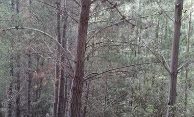 Parcela en Venta en Cabeceras, Paredones, Sexta Región Bernardo O´Higgins