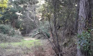 Parcela en Venta en Cabeceras, Paredones, Sexta Región Bernardo O´Higgins