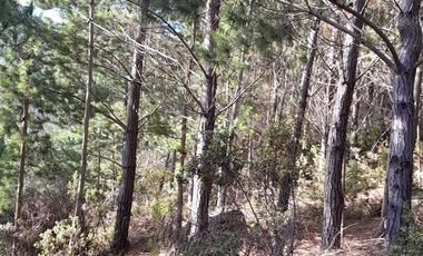 Parcela en Venta en Cabeceras, Paredones, Sexta Región Bernardo O´Higgins