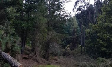 Parcela en Venta en Cabeceras, Paredones, Sexta Región Bernardo O´Higgins