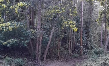 Parcela en Venta en Cabeceras, Paredones, Sexta Región Bernardo O´Higgins