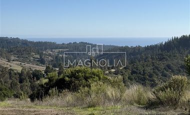 Parcela en Venta en Cerro la Campaña, Pupuya