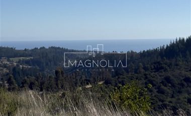 Parcela en Venta en Cerro la Campaña, Pupuya