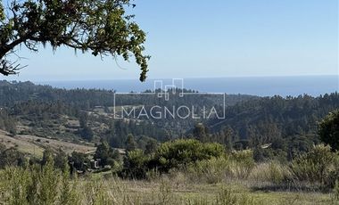 Parcela en Venta en Cerro la Campaña, Pupuya