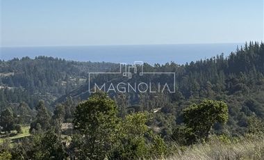 Parcela en Venta en Cerro la Campaña, Pupuya