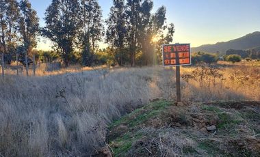 Parcela 5.000 mts2 - Rincón del Sauce - Pumanque