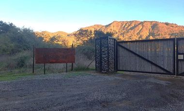 Parcela 5.000 mts2 - Rincón del Sauce - Pumanque