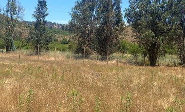 Parcela 5.000 mts2 - Rincón del Sauce - Pumanque