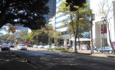 Oficina Piso 10 Torre Mural San Jose Insurgentes