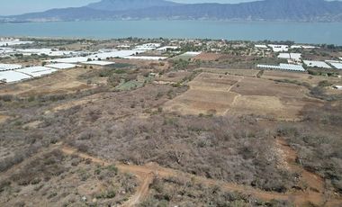 TERRENO EN VENTA EN JOCOTEPEC