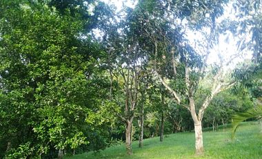 Venta Casa en  Conjunto Villeta