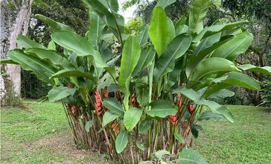 Venta Casa en  Conjunto Villeta