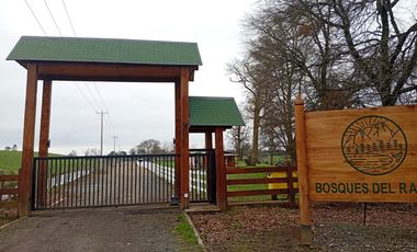 Bosques del Ranco
