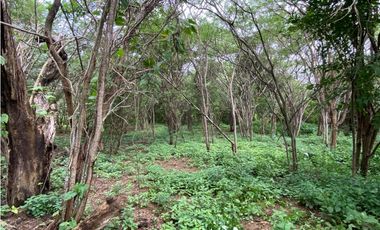 VENTA DE LOTE EN TUBARA