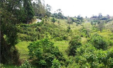 LOTE EN VENTA UBICADOI EN LA VIA GUARNE AEROPUERTO DE 26.311 M2