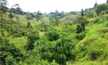 LOTE EN VENTA UBICADOI EN LA VIA GUARNE AEROPUERTO DE 26.311 M2