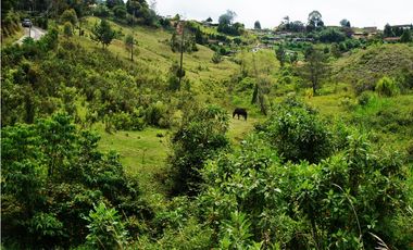 LOTE EN VENTA UBICADOI EN LA VIA GUARNE AEROPUERTO DE 26.311 M2