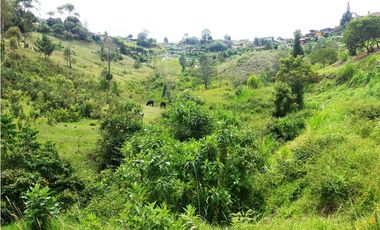 LOTE EN VENTA UBICADOI EN LA VIA GUARNE AEROPUERTO DE 26.311 M2