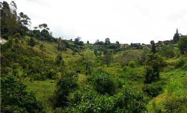 LOTE EN VENTA UBICADOI EN LA VIA GUARNE AEROPUERTO DE 26.311 M2