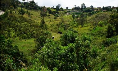 LOTE EN VENTA UBICADOI EN LA VIA GUARNE AEROPUERTO DE 26.311 M2