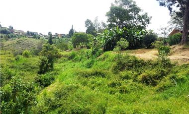 LOTE EN VENTA UBICADOI EN LA VIA GUARNE AEROPUERTO DE 26.311 M2