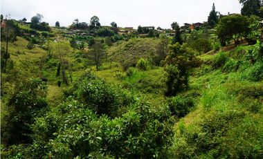 LOTE EN VENTA UBICADOI EN LA VIA GUARNE AEROPUERTO DE 26.311 M2