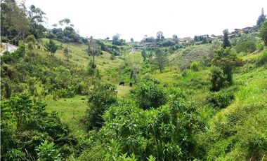 LOTE EN VENTA UBICADOI EN LA VIA GUARNE AEROPUERTO DE 26.311 M2