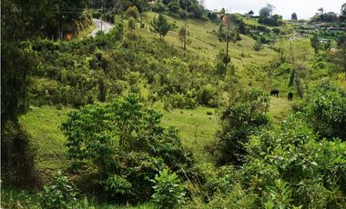 LOTE EN VENTA UBICADOI EN LA VIA GUARNE AEROPUERTO DE 26.311 M2