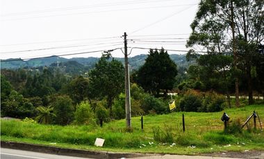 LOTE EN VENTA GUARNE DE 9.118 M2