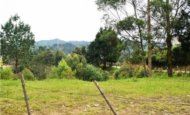 LOTE EN VENTA GUARNE DE 9.118 M2