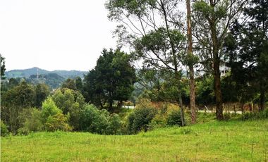 LOTE EN VENTA GUARNE DE 9.118 M2