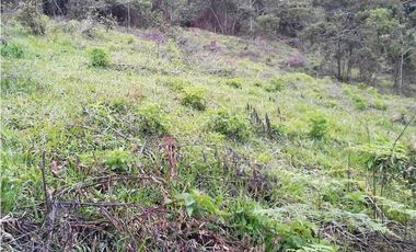 LOTE EN GUARNE DE 122.000 M2